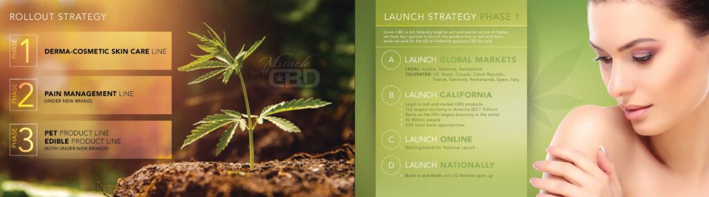 15-miricale-of-cbd-cosmetics-presentation-booklet-adam-jarvis-juggernaut-design