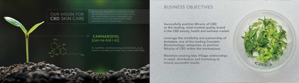 18-miricale-of-cbd-cosmetics-presentation-booklet-adam-jarvis-juggernaut-design