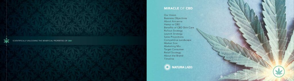 19-miricale-of-cbd-cosmetics-presentation-booklet-adam-jarvis-juggernaut-design