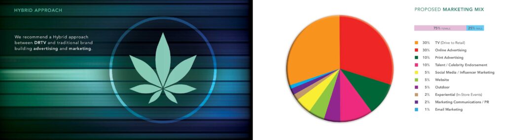 8-miricale-of-cbd-cosmetics-presentation-booklet-adam-jarvis-juggernaut-design