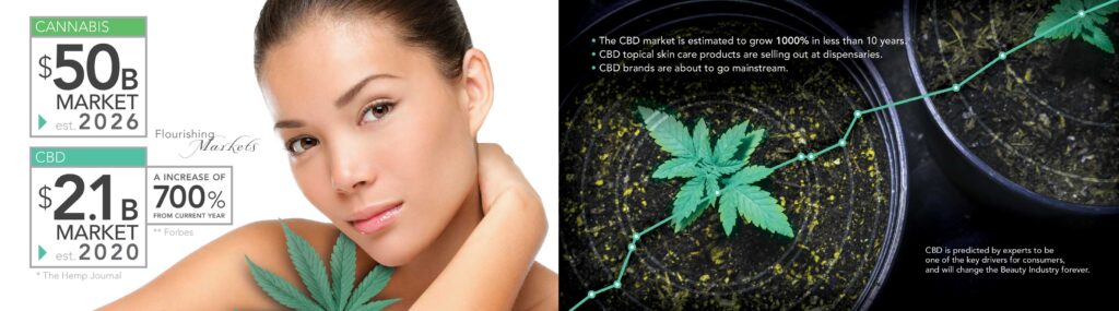 9-miricale-of-cbd-cosmetics-presentation-booklet-adam-jarvis-juggernaut-design