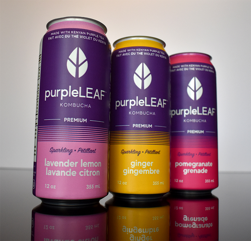 purple-leaf-kombucha-canada-aluminum-can-design