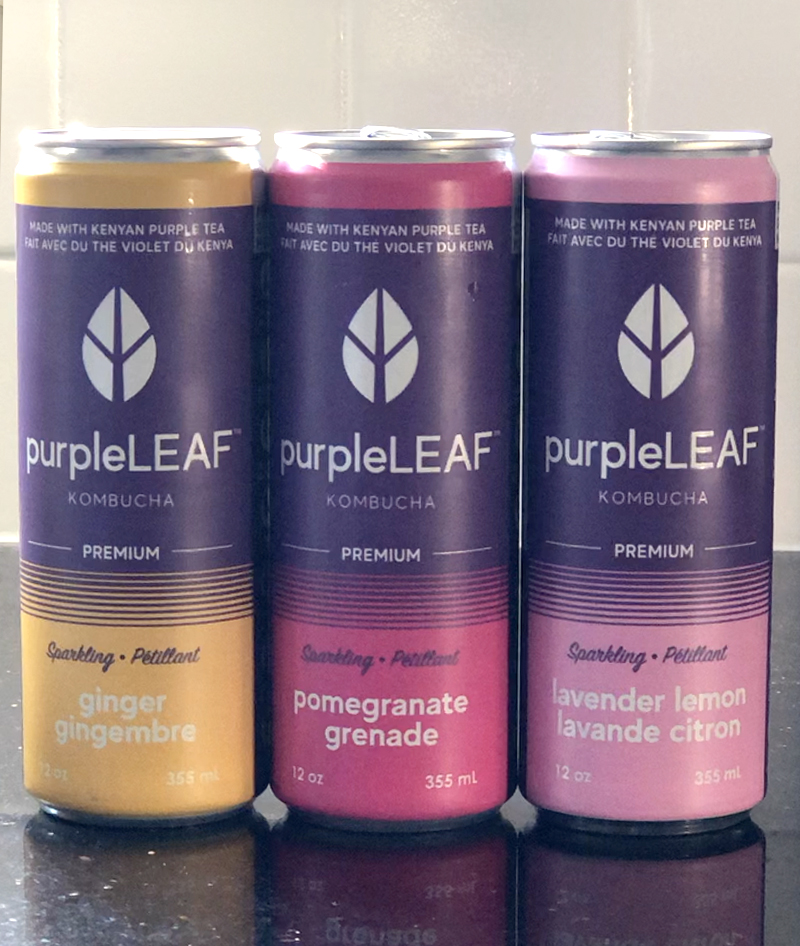 trio-purple-leaf-kombucha-canada-aluminum-can-design