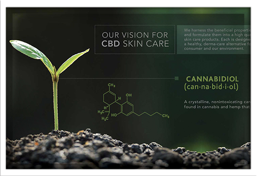 Miracle of CBD Presentation Booklet