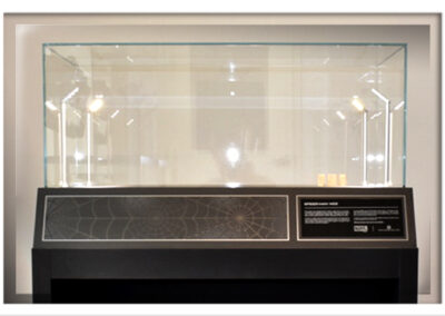 Spider-Man Web – One of One – ECG / Marvel – display case